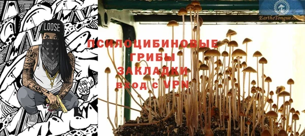 гашик Лагань
