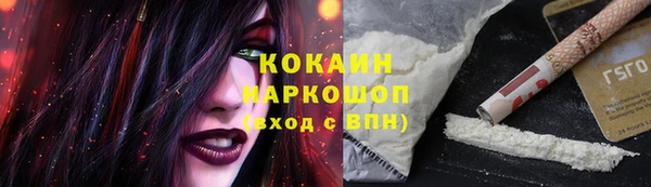 гашик Лагань