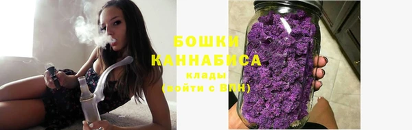гашик Лагань