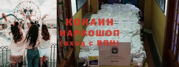 гидра Ладушкин